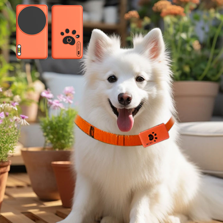 AI Wearable Pet Health Monitor - مراجعة Breath Rate Monitor وسعره